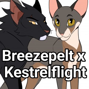 Breezepelt x Kestrelflight