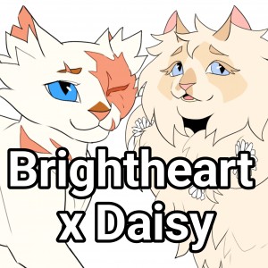 Brightheart x Daisy