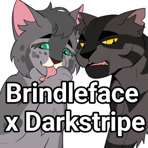 Brindleface x Darkstripe