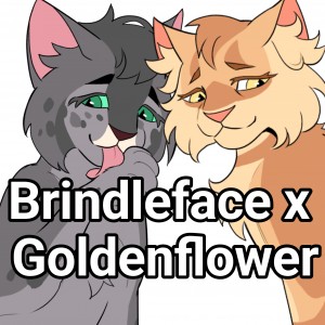 Brindleface x Goldenflower