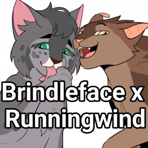 Brindleface x Runningwind