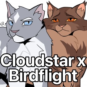 Cloudstar x Birdflight