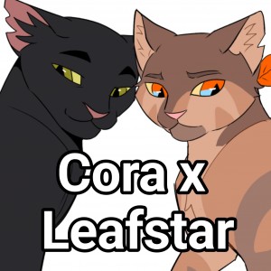 Cora x Leafstar