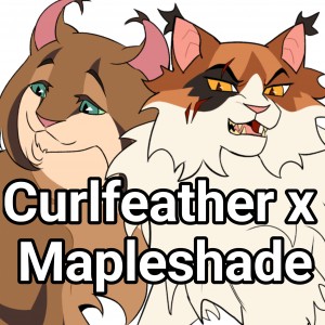 Curlfeather x Mapleshade