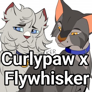 Curlypaw x Flywhisker