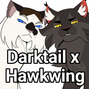Darktail x Hawkwing