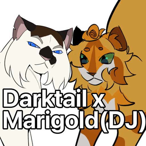 Darktail x Marigold