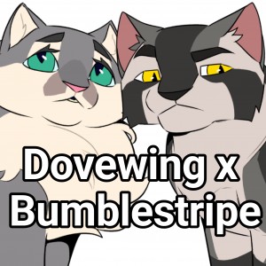 Dovewing x Bumblestripe
