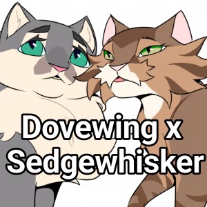 Dovewing x Sedgewhisker