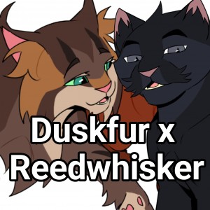 Duskfur x Reedwhisker
