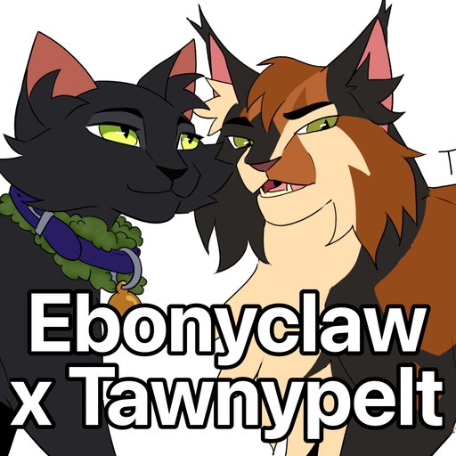 Ebonyclaw x Tawnypelt