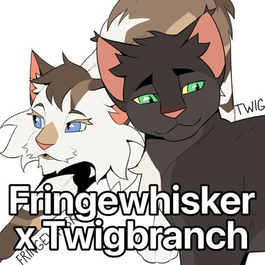 Fringewhisker x Twigbranch