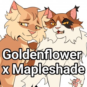 Goldenflower x Mapleshade