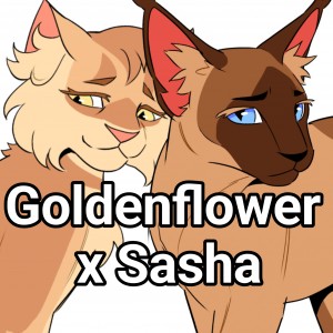 Goldenflower x Sasha