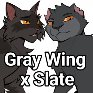 Gray Wing x Slate