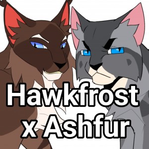 Hawkfrost x Ashfur