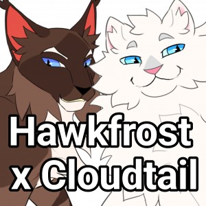 Hawkfrost x Cloudtail