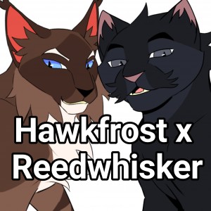 Hawkfrost x Reedwhisker