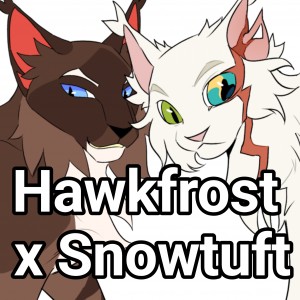 Hawkfrost x Snowtuft