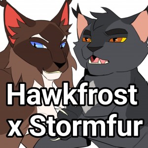 Hawkfrost x Stormfur