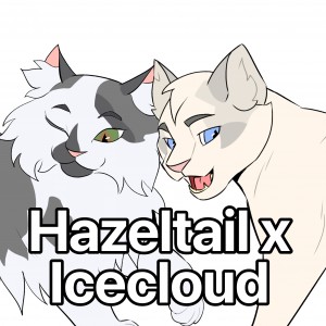 Hazeltail x Icecloud