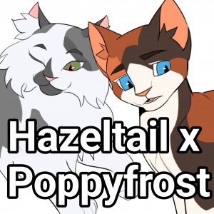 Hazeltail x Poppyfrost