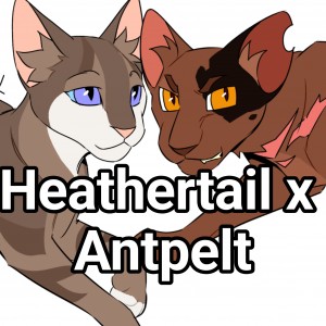 Heathertail x Antpelt