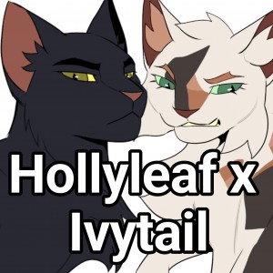 Hollyleaf x Ivytal