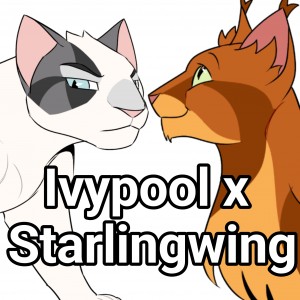 Ivypool x Starlingwing