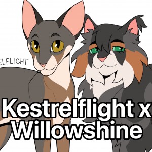 Kestrelflight x Willowshine