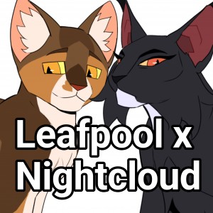 Leafpool x Nightcloud