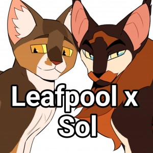 Leafpool x Sol