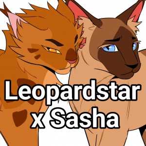 Leopardstar x Sasha