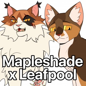 Mapleshade x Leafpool