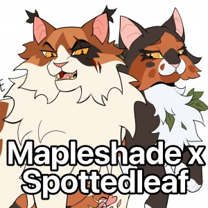 Mapleshade x Spottedleaf
