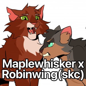 Maplewhisker x Robinwing (SkC)