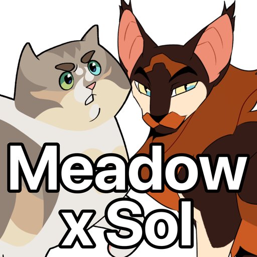 Meadow x Sol