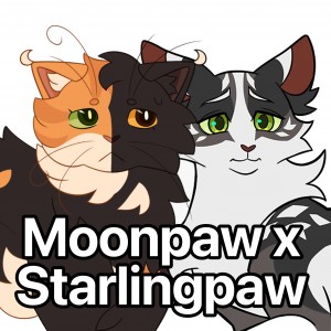 Moonpaw x Starlingpaw