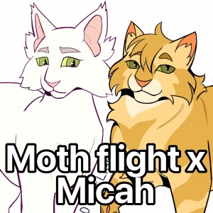 Moth Flight x Micah