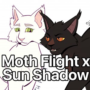 Moth Flight x Sun Shadow