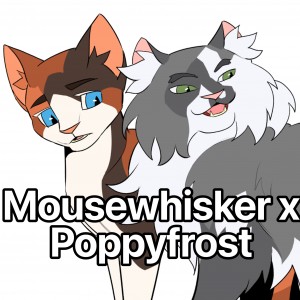 Mousewhisker x Poppyfrost