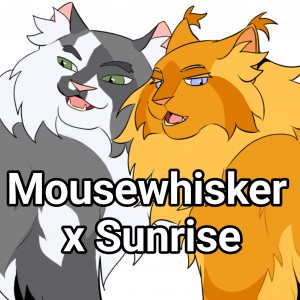 Mousewhisker x Sunrise