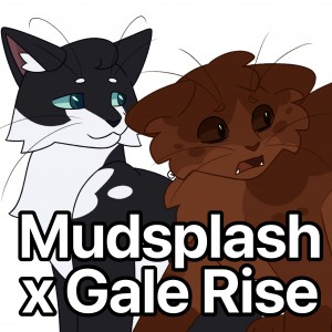 Mudsplash x Gale Rise