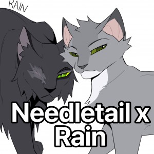 Needletail x Rain