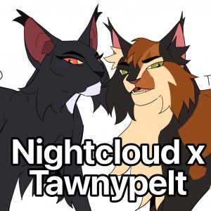 Nightcloud x Tawnypelt