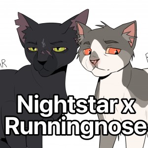 Nightstar x Runningnose