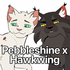 Pebbleshine x Hawkwing