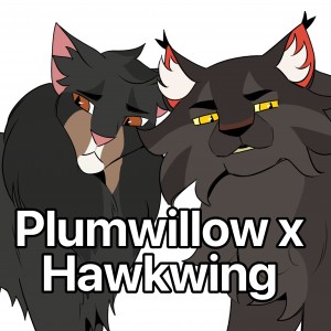 Plumwillow x Hawkwing