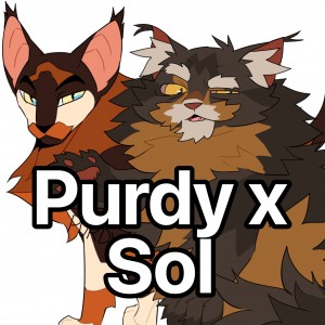 Purdy x Sol