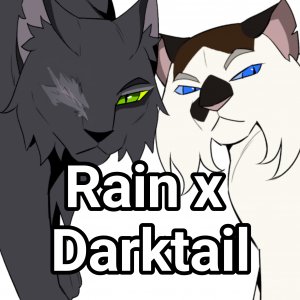 Rain x Hawkwing
